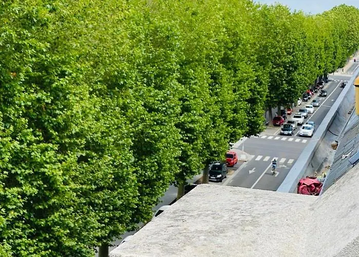 Proche Commodite Et Gare . Centre